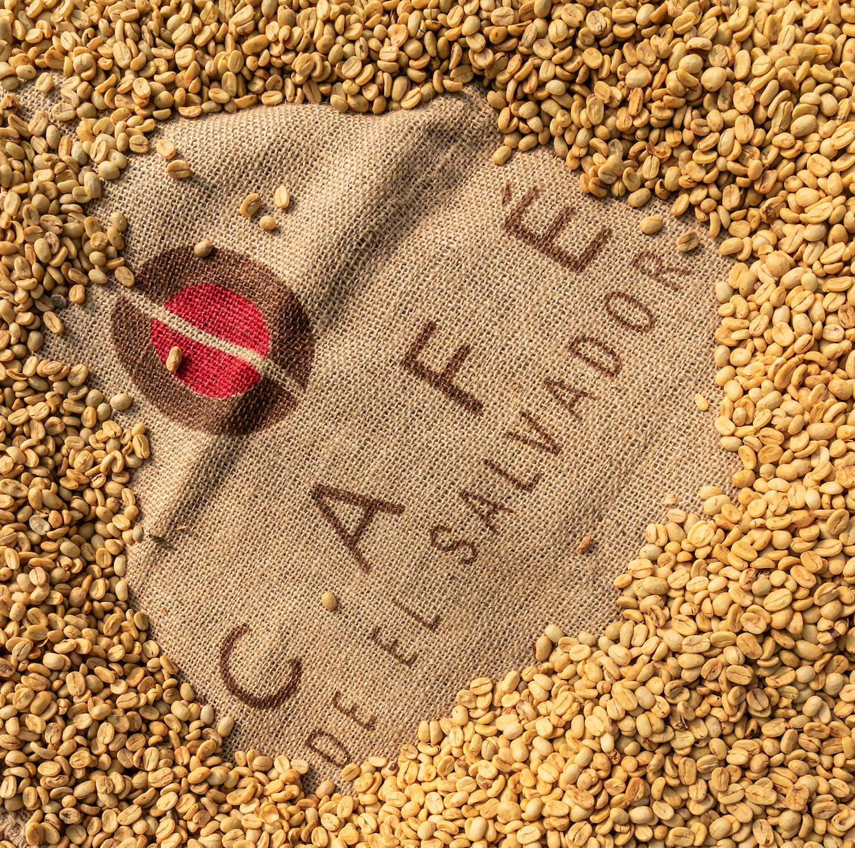 El Salvador COE Origin Immersion