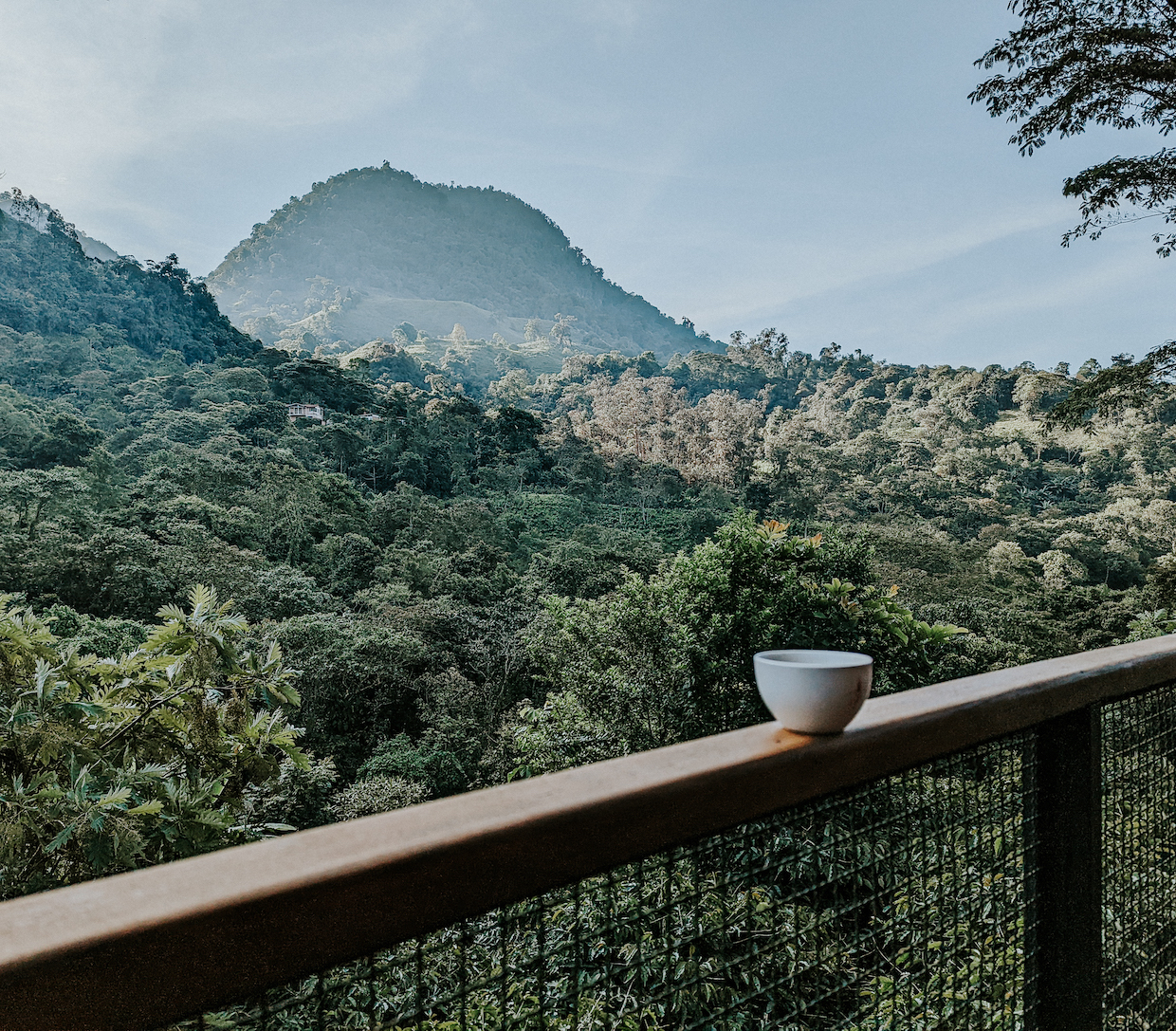 Futura Cofffee Amherst MA 5