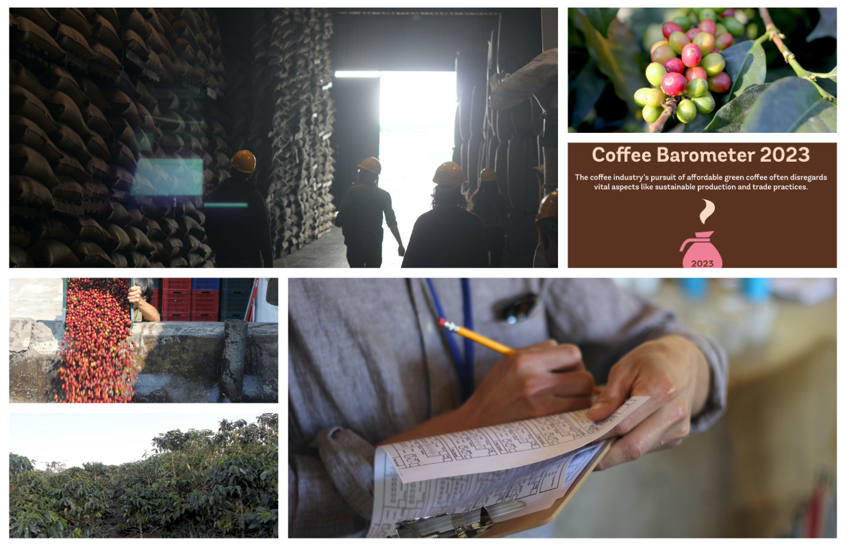 green coffee news 2023