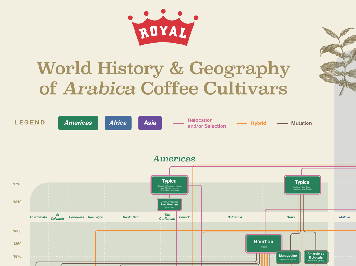 timeline header snip